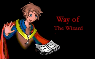 Way of the Wizard