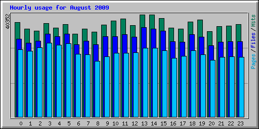 Hourly usage for August 2009