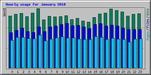 Hourly usage for January 2010